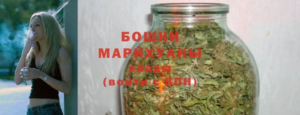 амф Арсеньев