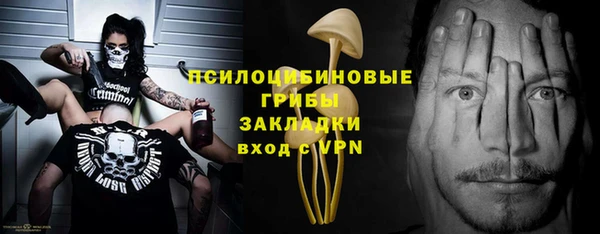 амф Арсеньев