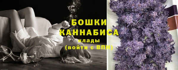 амф Арсеньев