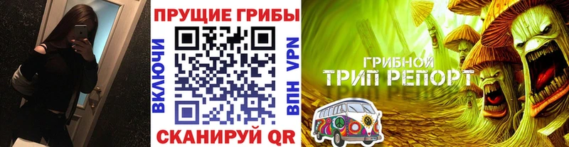Псилоцибиновые грибы GOLDEN TEACHER  закладка  Саров 